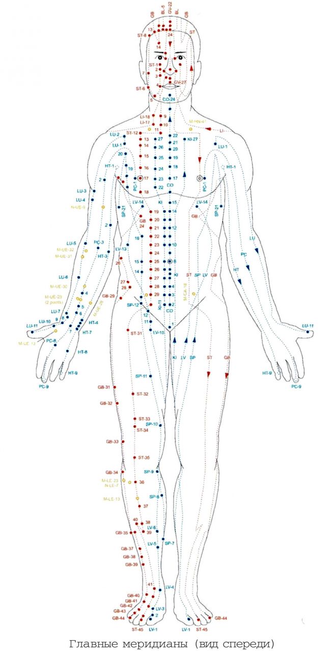 Названия точек человека. Акупунктура меридианы китайская медицина. Точки акупунктуры на теле человека атлас. Схема 12 меридианов акупунктуры. Акупунктура схема точек.